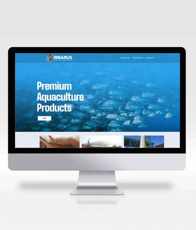 Ribarus Kurumsal Website Tasarımı